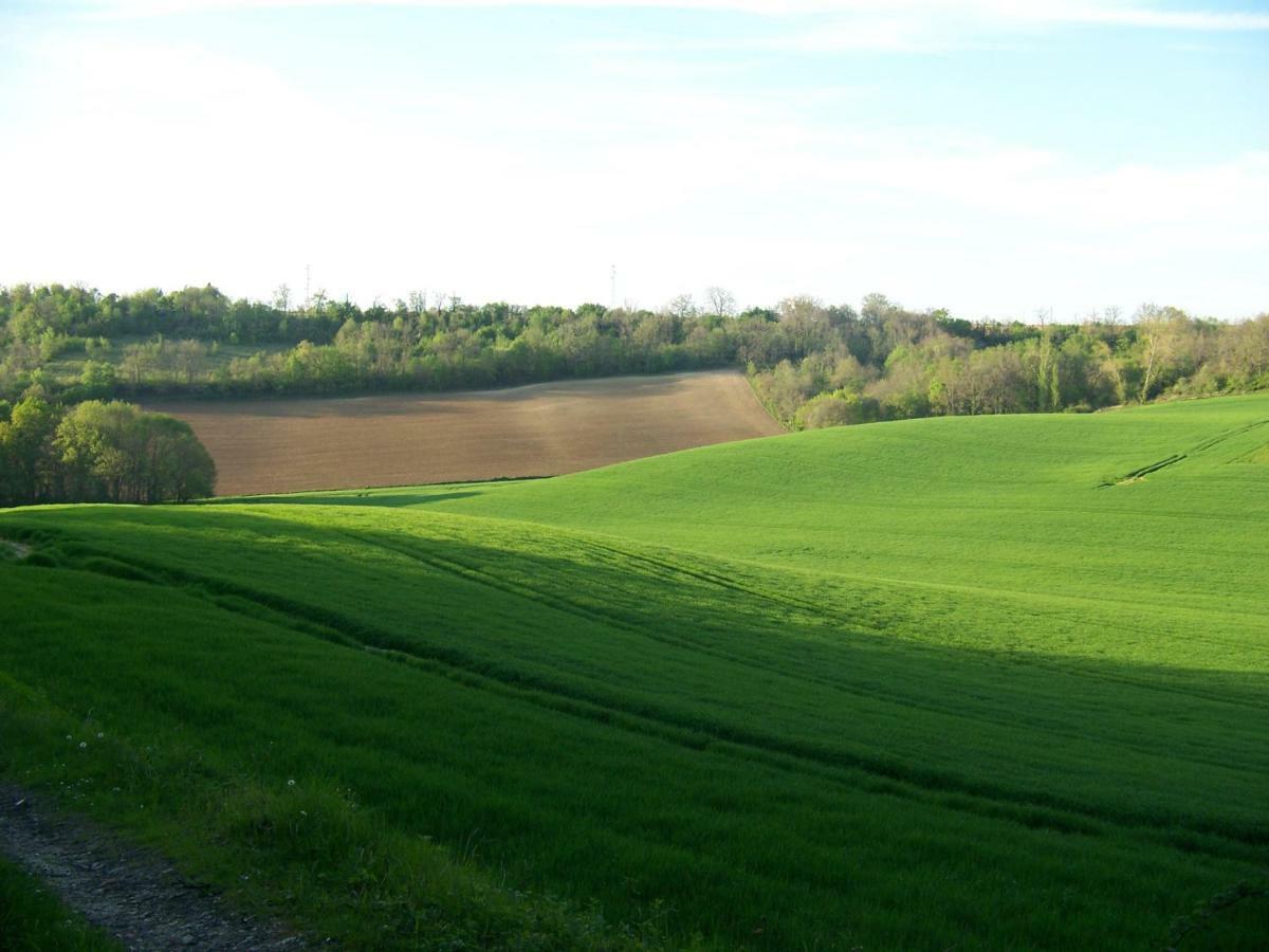Loustalneou Bed & Breakfast Saint-Pierre-de-Clairac Exterior foto